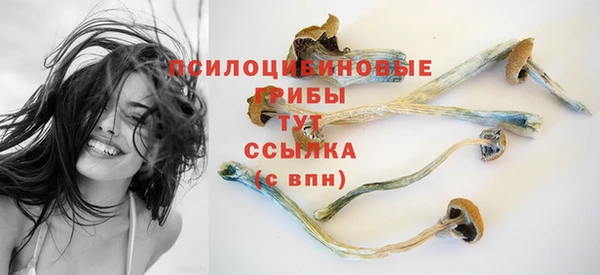 трава Аркадак
