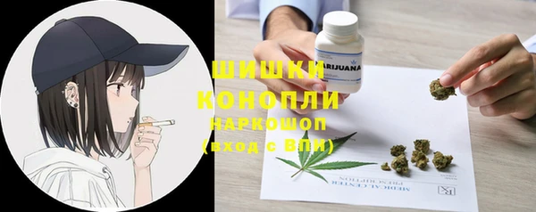 трава Аркадак