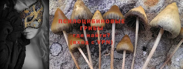 не бодяженный Алзамай