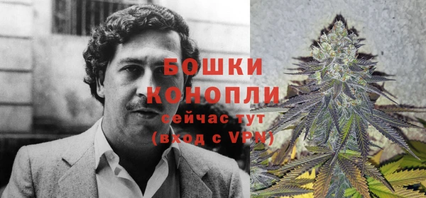трава Аркадак