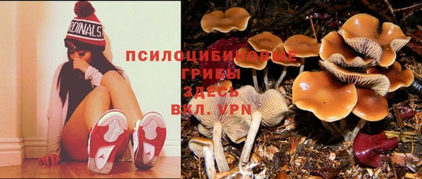 трава Аркадак