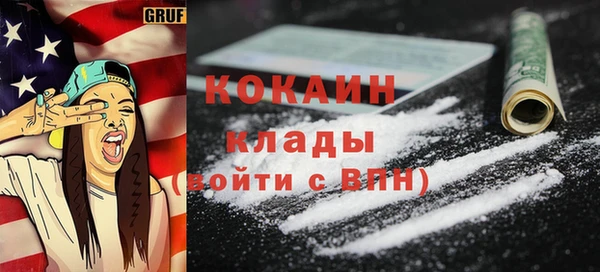 индика Арсеньев