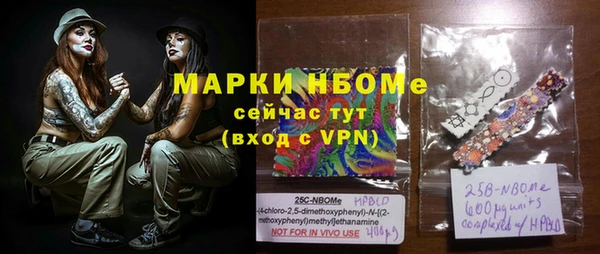 индика Арсеньев