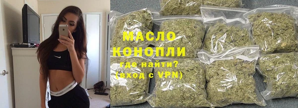 индика Арсеньев