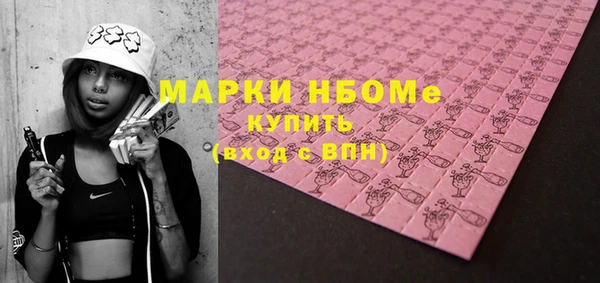 индика Арсеньев