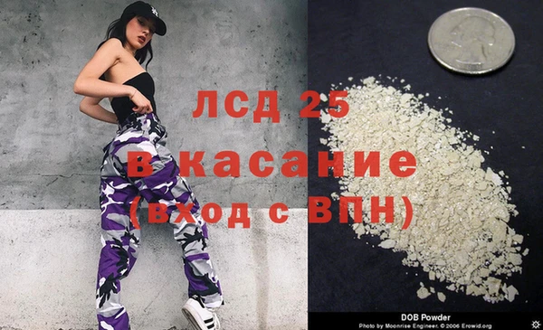 индика Арсеньев
