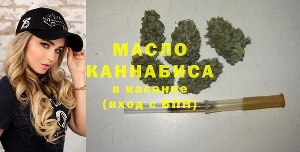 индика Арсеньев